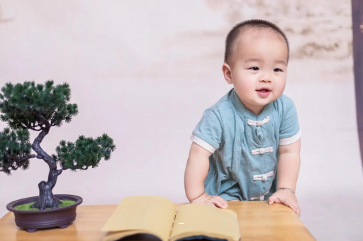 代怀哪里最便宜可爱的企鹅宝宝